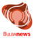 Bulbanews logo.png