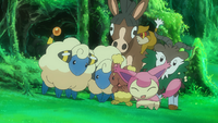 Mewtwo's Pokémon friends
