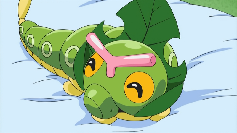 File:Ash Caterpie BW130.png