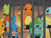 Professor Oak and Birch's Kanto and Hoenn starters