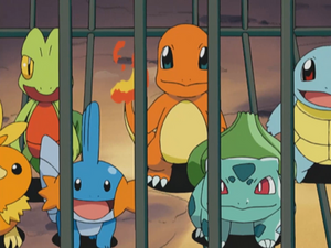 Max Kanto Hoenn first partners.png