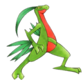 Grovyle BET.png