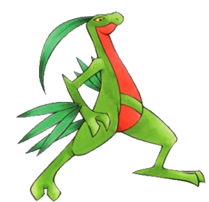 Grovyle BET.png