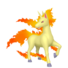 Rapidash