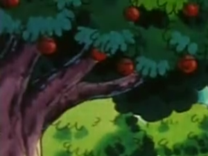 Red Apricorn anime.png