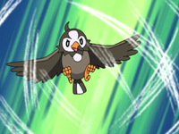 Ash Starly Gust.png