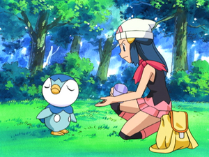 Dawn Piplup rejecting food.png