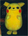 The attendees could see a motley of Pikachu walking through all the auditorium.