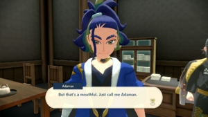 Adaman, a man with messy indigo hair tied back with a hair band and wearing a blue kimono, introduces himself to the player as the leader of the Diamond Clan.