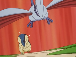 Ash Cyndaquil Agility.png