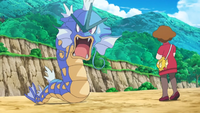 Karpy as a Gyarados