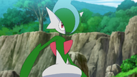 Ash's Farfetch'd Evolve and battle with Rinto's Gallade - Pokemon Journeys  