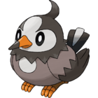 Keen Eye (Ability) - Bulbapedia, the community-driven Pokémon encyclopedia