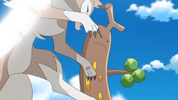 Brock Sudowoodo Feint Attack.png