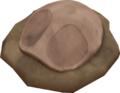 Dome Fossil PE.png