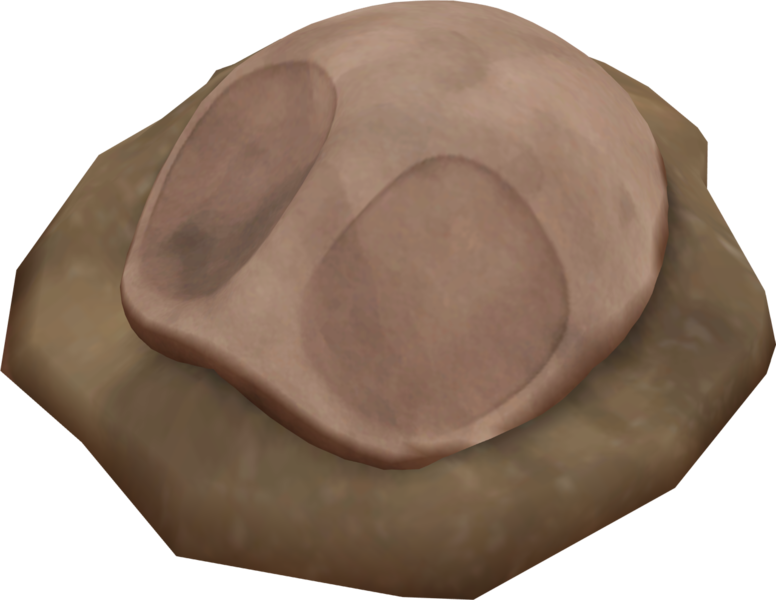 File:Dome Fossil PE.png