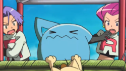 Jessie Wobbuffet M20.png