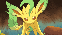 Leafeon anime.png