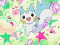 Pachirisu with a Heart Seal