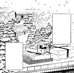 Snowpoint City RMCO.png