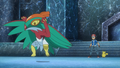 The coloring error in Hawlucha's sclera