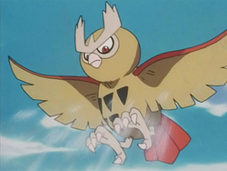 Ash Noctowl Whirlwind.png