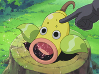 James Second Weepinbell Sweet Scent.png