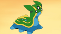 Paul's Gastrodon