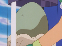 Ash's Pokémon Egg