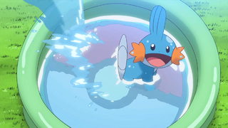 320px-May_Mudkip_ORAS_Trailer.png