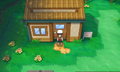 Player House exterior m ORAS.png