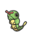 Caterpie