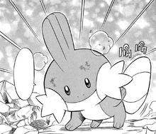 Mudkip GRT.png