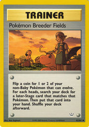 PokémonBreederFieldsNeoRevelation62.jpg