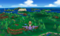Soaring in the sky ORAS.png
