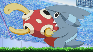 Gible biting Shuckle.png