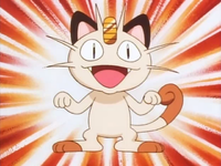 Pokémon League entrance exam instructor's Meowth
