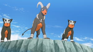 Tengu Mountain Houndour Houndoom.png