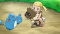 Zigzagoon's hind legs error