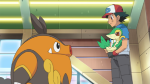 Ash Pignite evolved.png