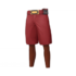 GO Team Magma Pants male.png