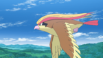 Pidgeot anime.png