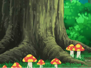 Tiny Mushroom anime.png