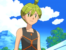 Aron (Pokémon) - Bulbapedia, the community-driven Pokémon encyclopedia
