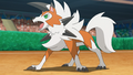 Dusk Form Lycanroc in the anime