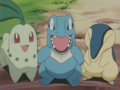The Johto starter Pokémon in the anime