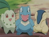 The Johto first partner Pokémon owned by Ash