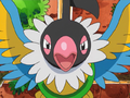 Chatot PMD anime.png