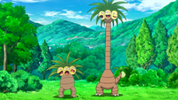 Exeggutor anime.png