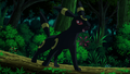 Umbreon in the anime